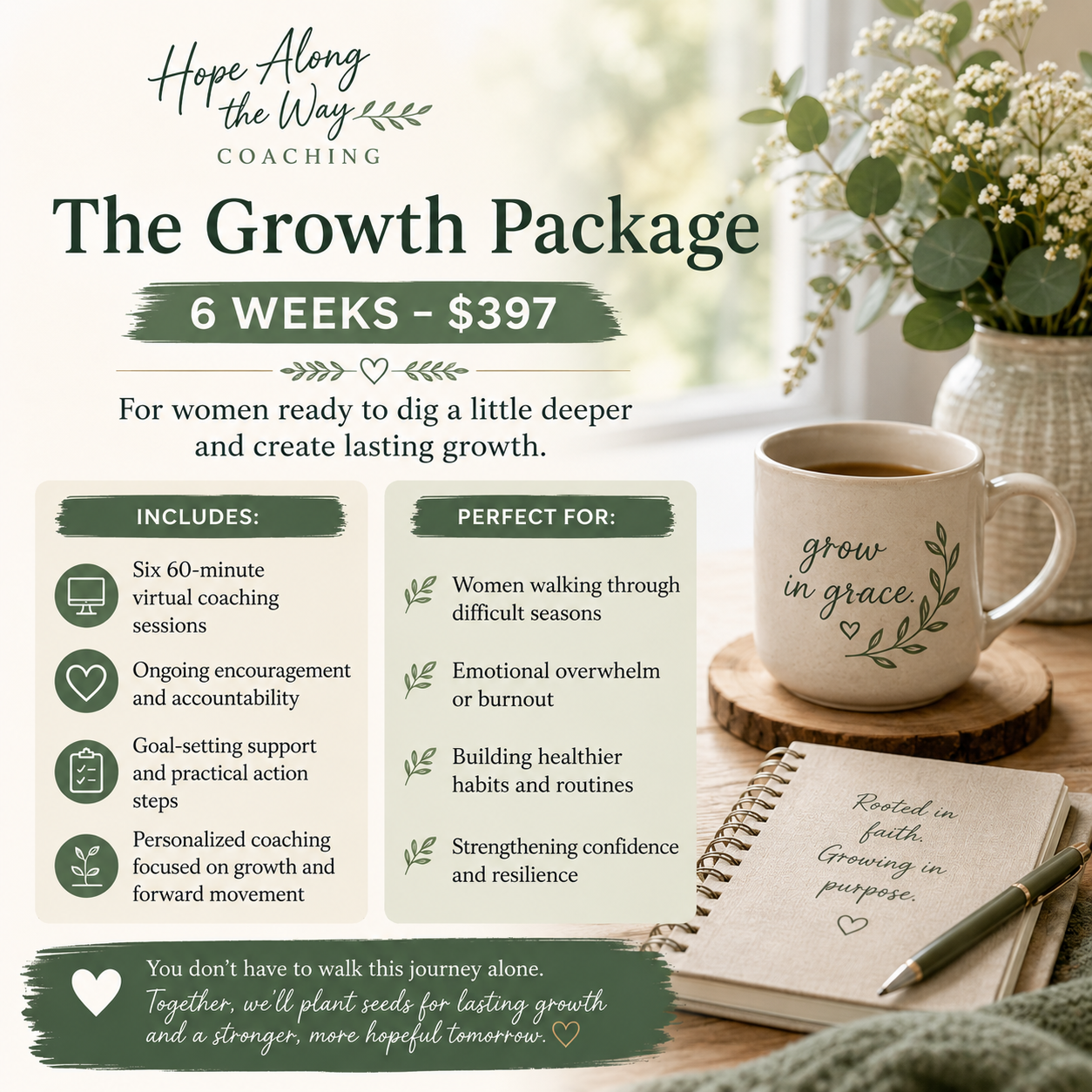 The Growth Package coaching product preview.