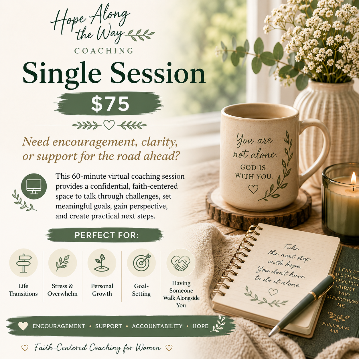 Single Session coaching product preview.